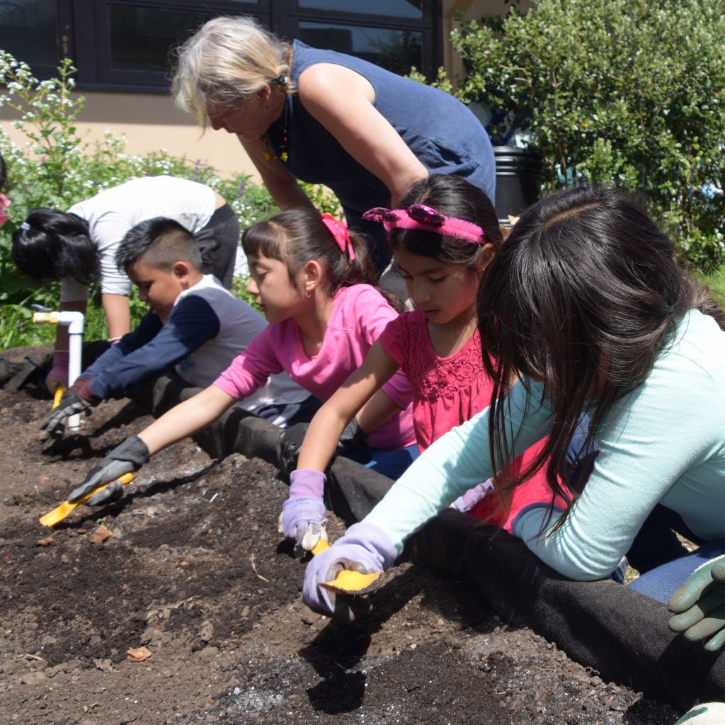 Planting at Steele Lane Elementary School, a Slow Food Russian River ...