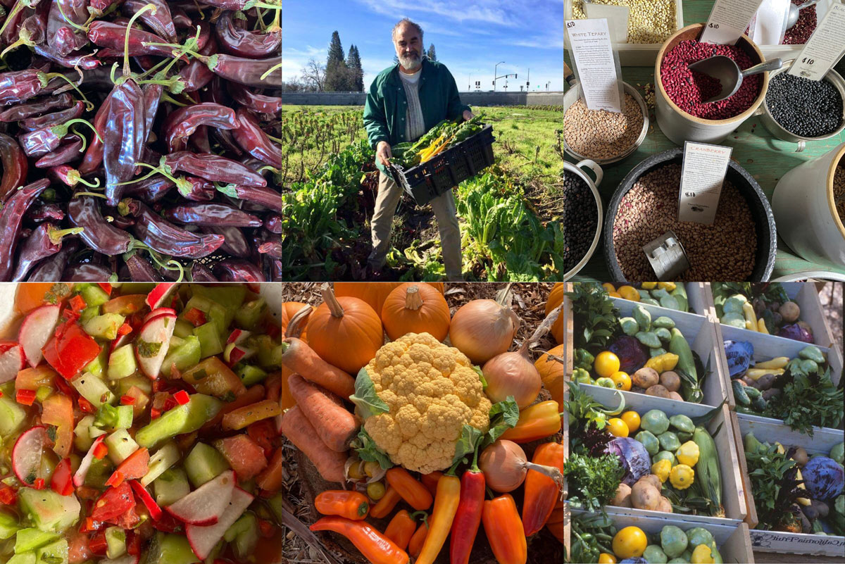 Farm photos